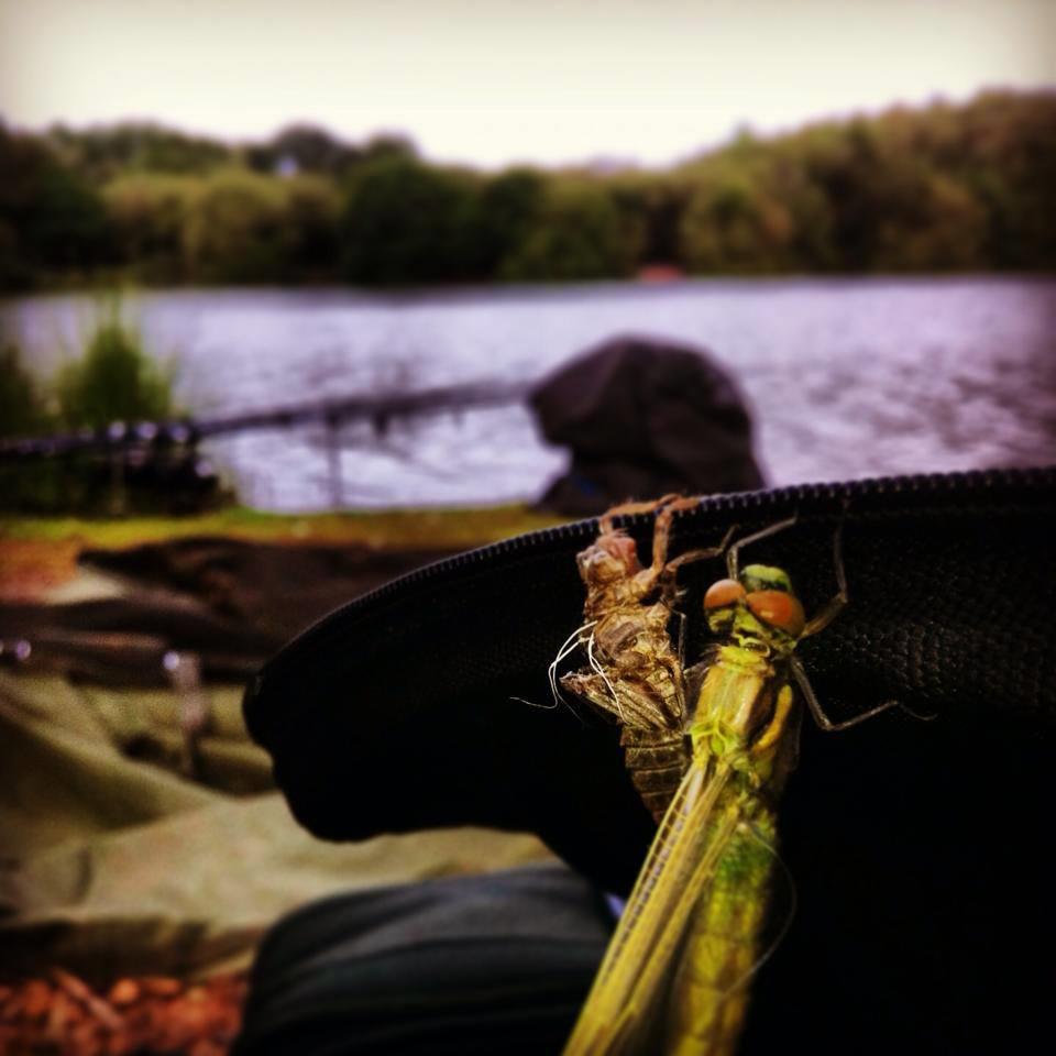 JRC - 179780668063773209998789813225n.jpg